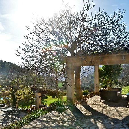 Sa Vall Valldemossa Eksteriør bilde