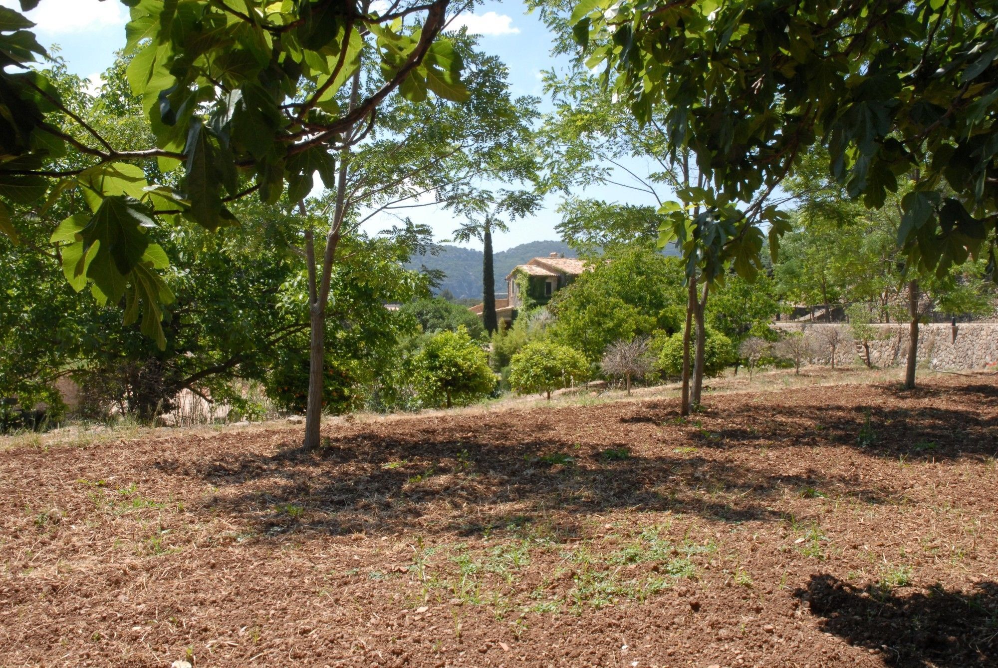 Sa Vall Valldemossa Eksteriør bilde
